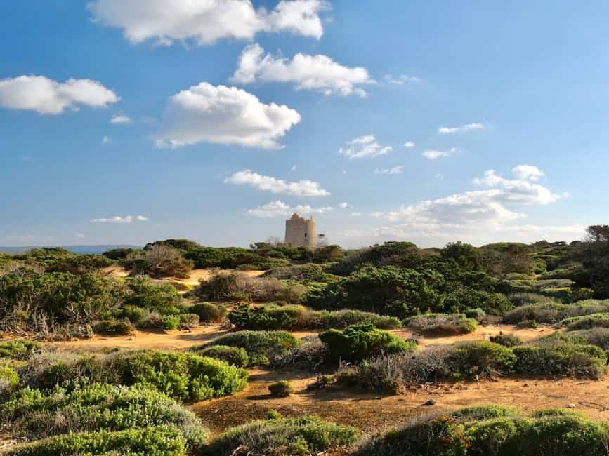 Explore the stunning landscape of Torre de ses Portes amidst lush greenery and bright blue skies in Ibiza, Spain.